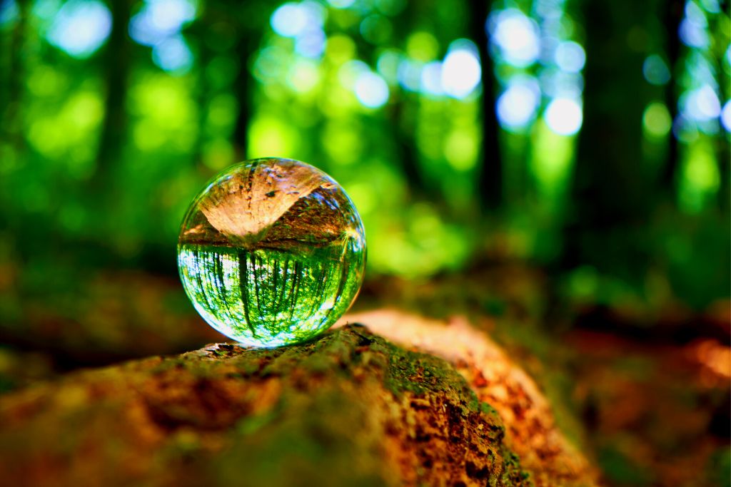 crystal ball placed on outdoor environment and have a forest-blurry background