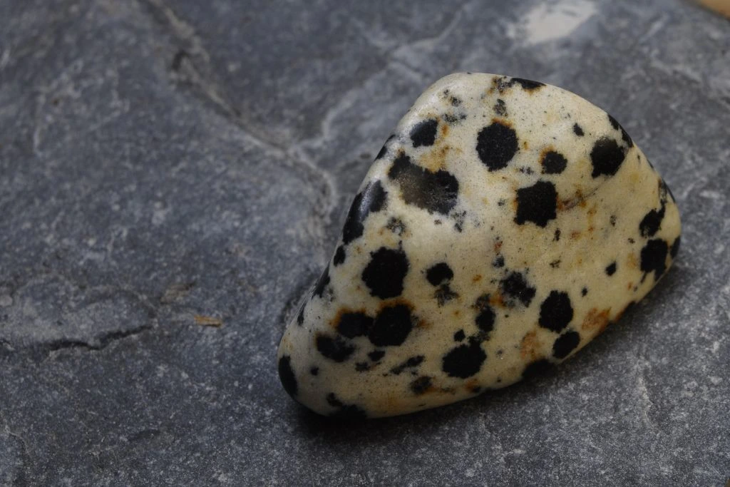 Dalmatian jasper placed on a granite platform