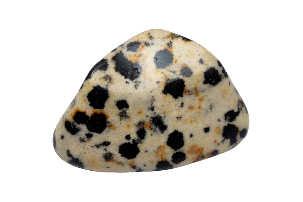 Dalmatian jasper on white background