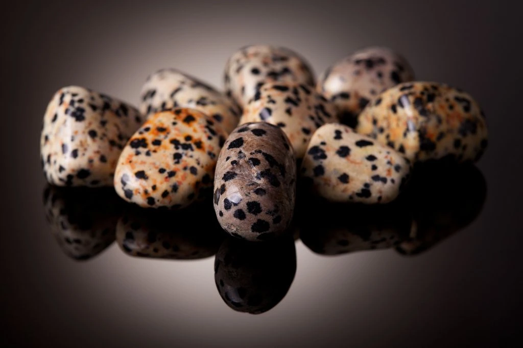 Dalmatian jasper crystals on a dark background