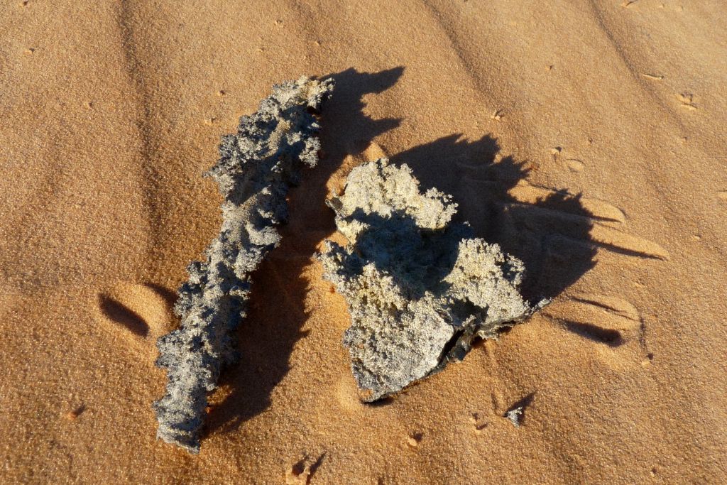 Two Fulgurites stones on beach sand. Image Source: wikimedia.org | Ji-Elle