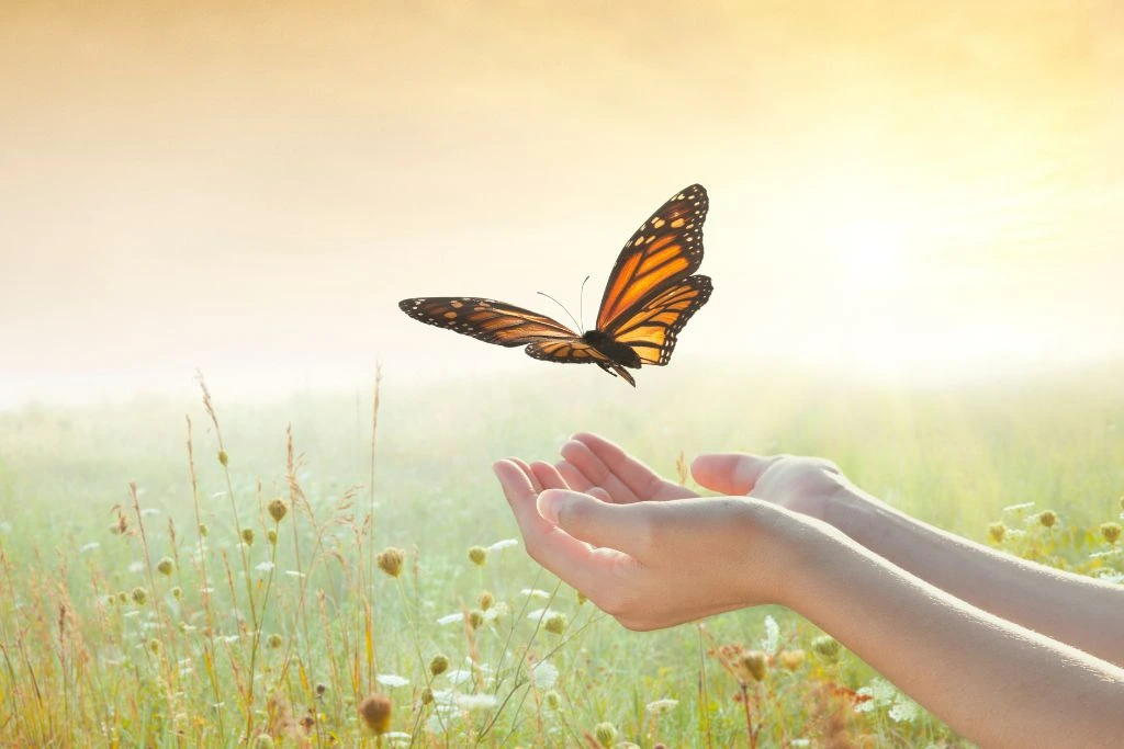 Girl releasing a butterfly in a flower field