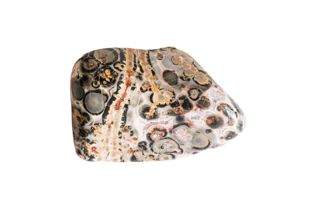 A leopard skin jasper on a white background