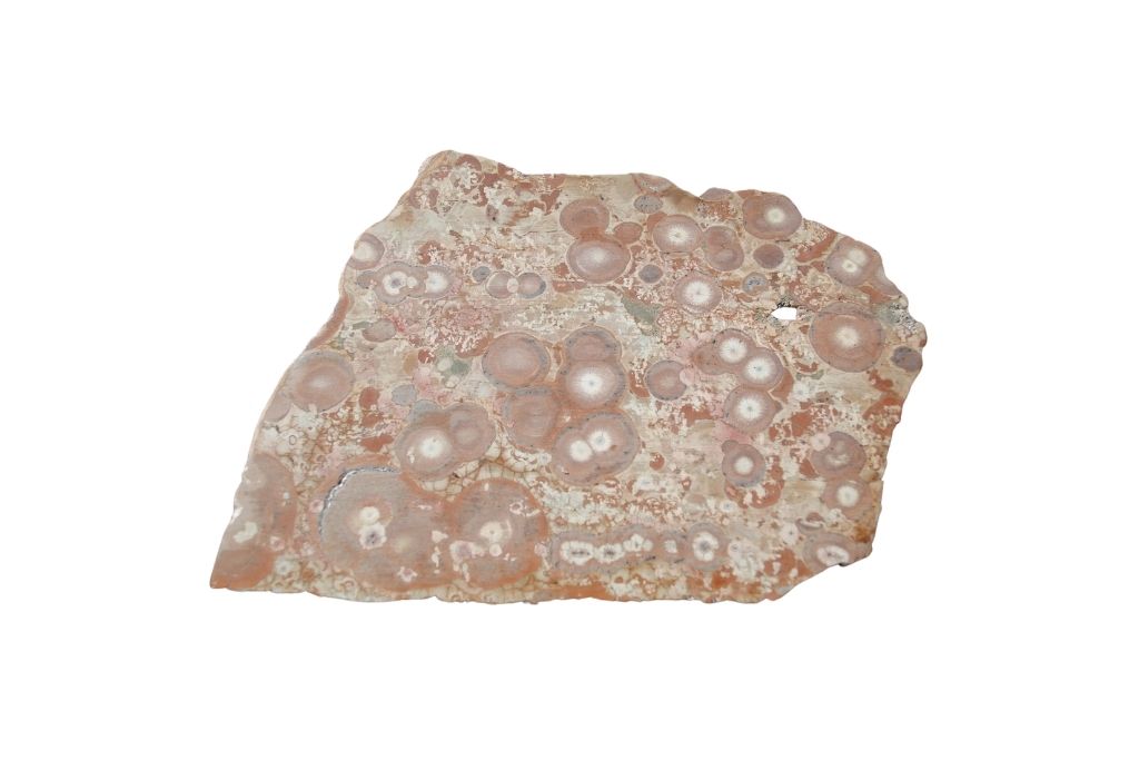 Orbicular jasper on a white background