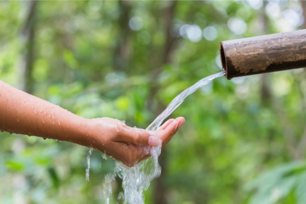 Person using hand to get water from a wooden pipe with several plants and trees on the background