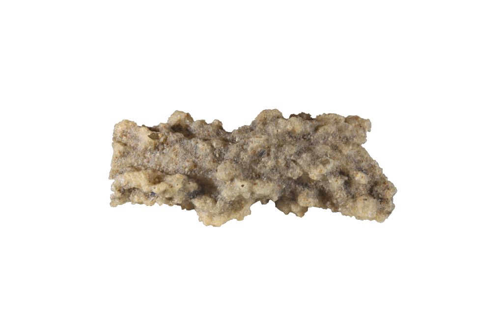 Sand Fulgurite on a white background. Image Source: wikimedia.org | Rama