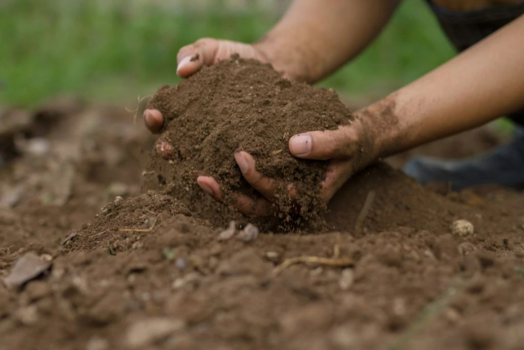 A person scooping a handful of soil