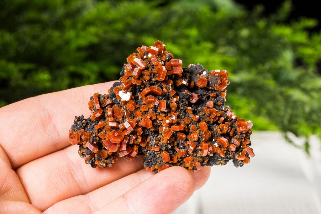 A person holding a vanadinite crystal