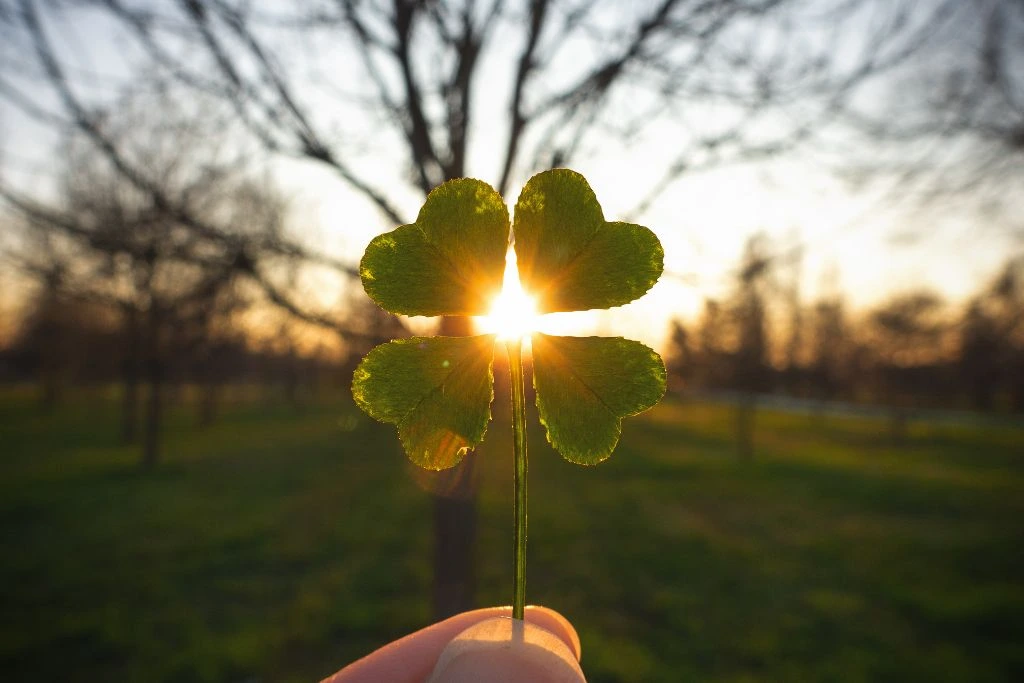 A person holding a four leaf clover covering the sun