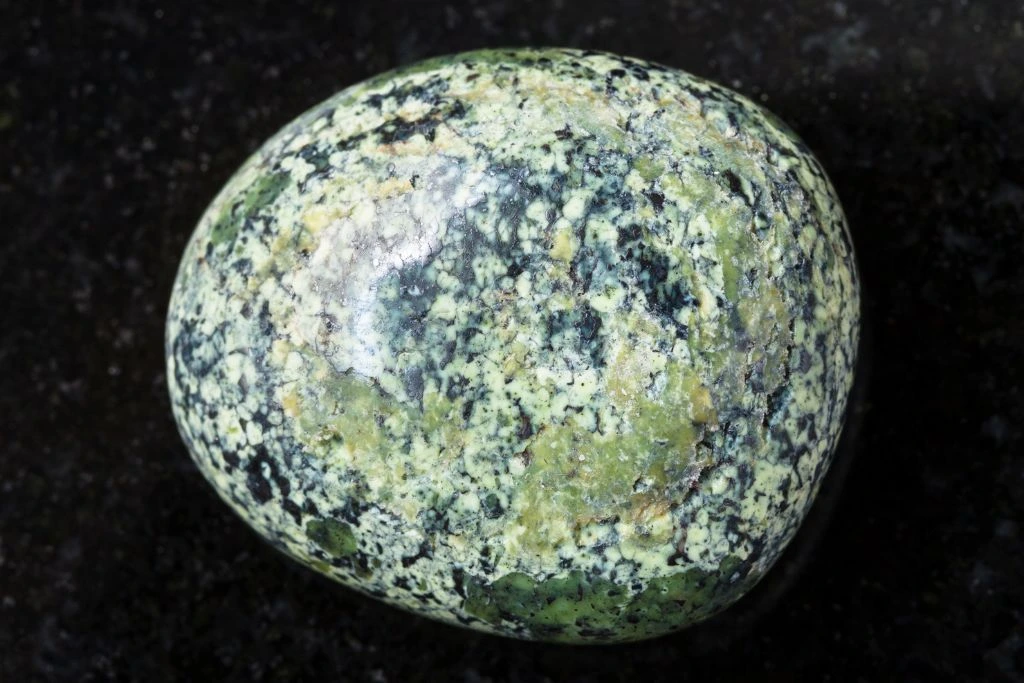 A polished serpentine crystal on a black background