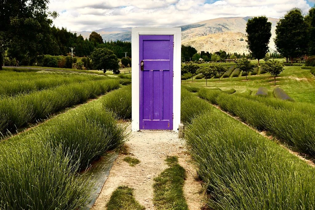 a purple door on the middle of the pathway in nature