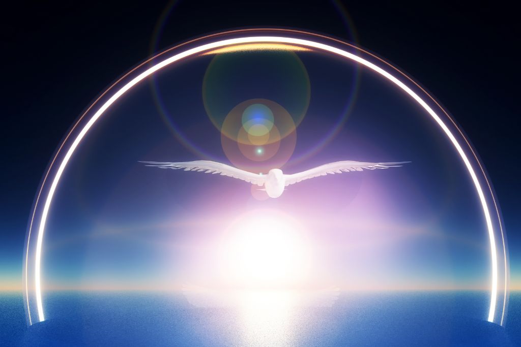 Bird flying over the sea with sun ray behind