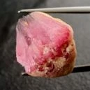 pink tourmaline on tong with grayish background