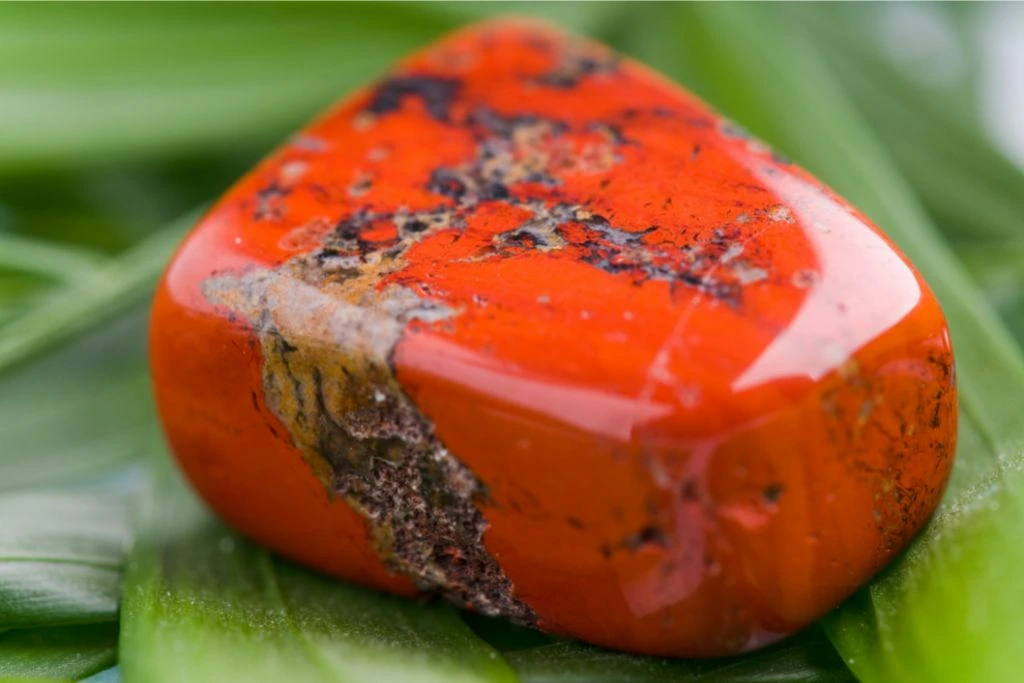 A Red Jasper Crystal on the leaves
