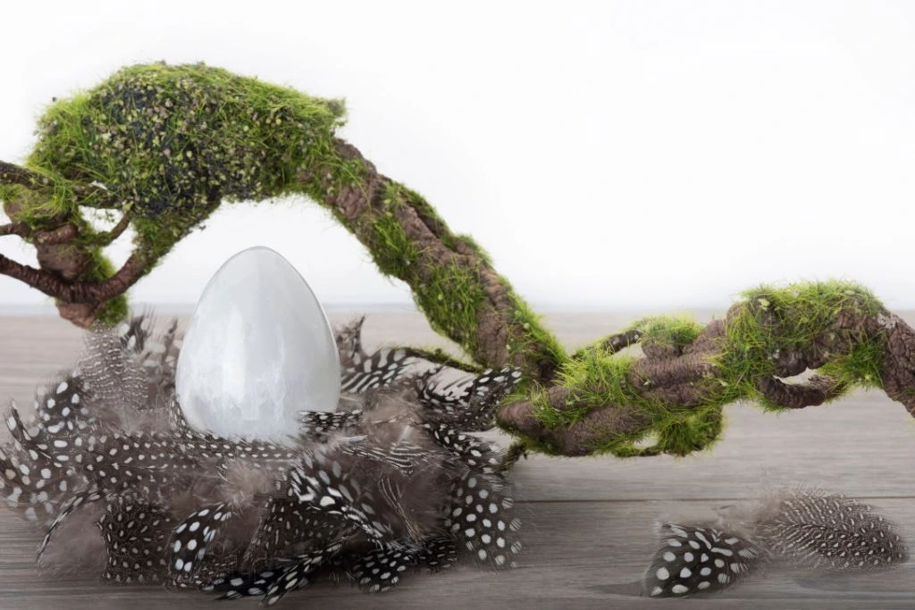 An egg shaped selenite crystal on a birds nest