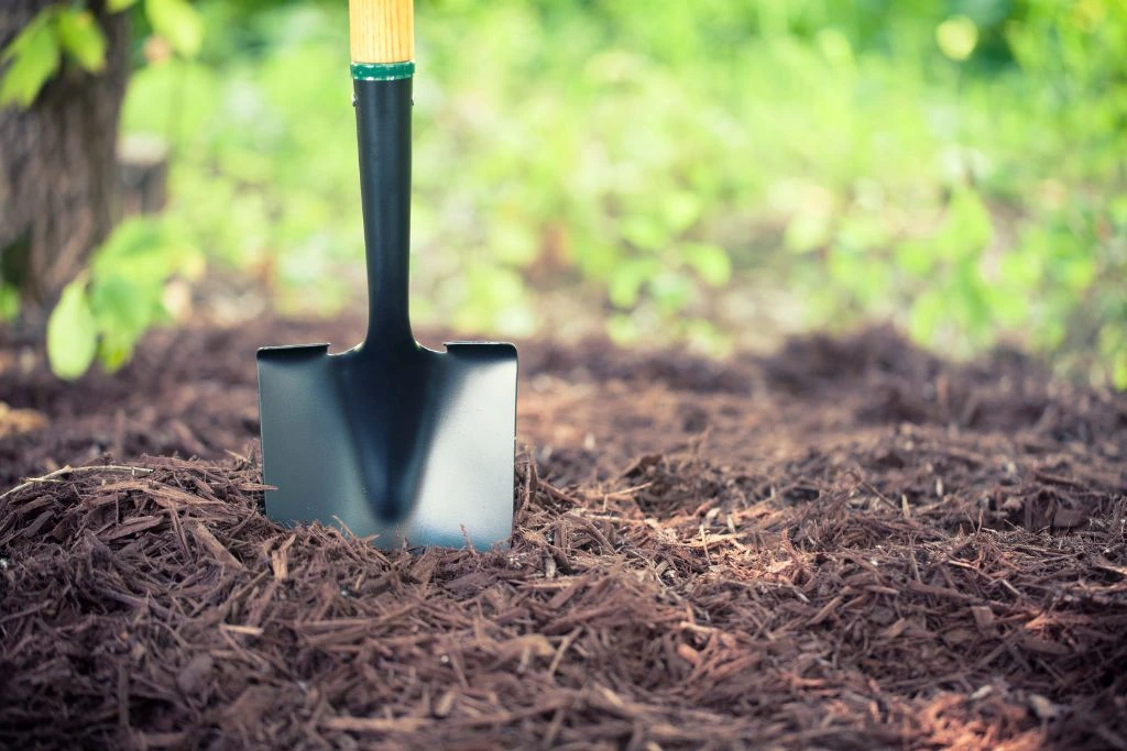 A shovel on the mulch