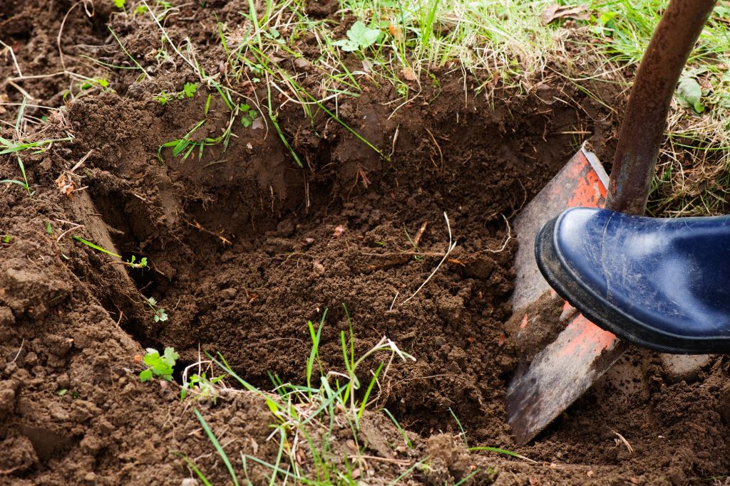 A person is shoveling the soil