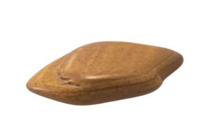 A brown jasper on a white background