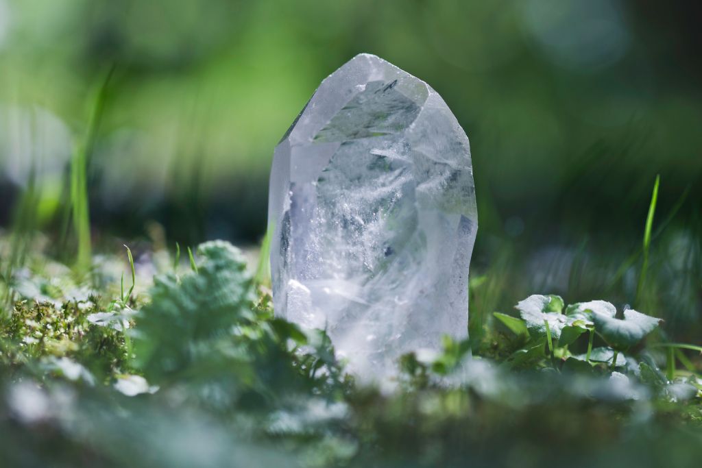 Clear Quartz crystal in a forest set up