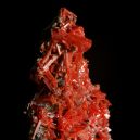 A crocoite crystal on a black background