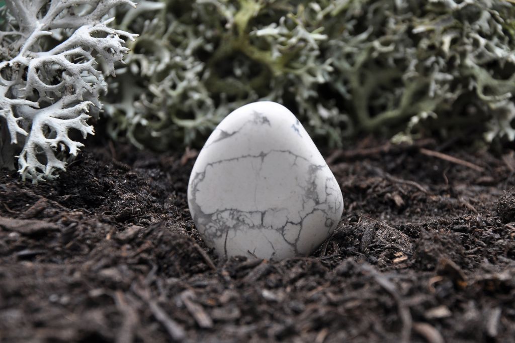 Howlite stone on a ground or black soil set up with a plant in its background