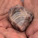 A person is holding a Lake Superior Agate on the palm of his hands