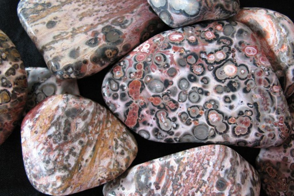 Different sized of Leopardskin Jasper stones. Image Source: flickr.com | Jeff Skipper