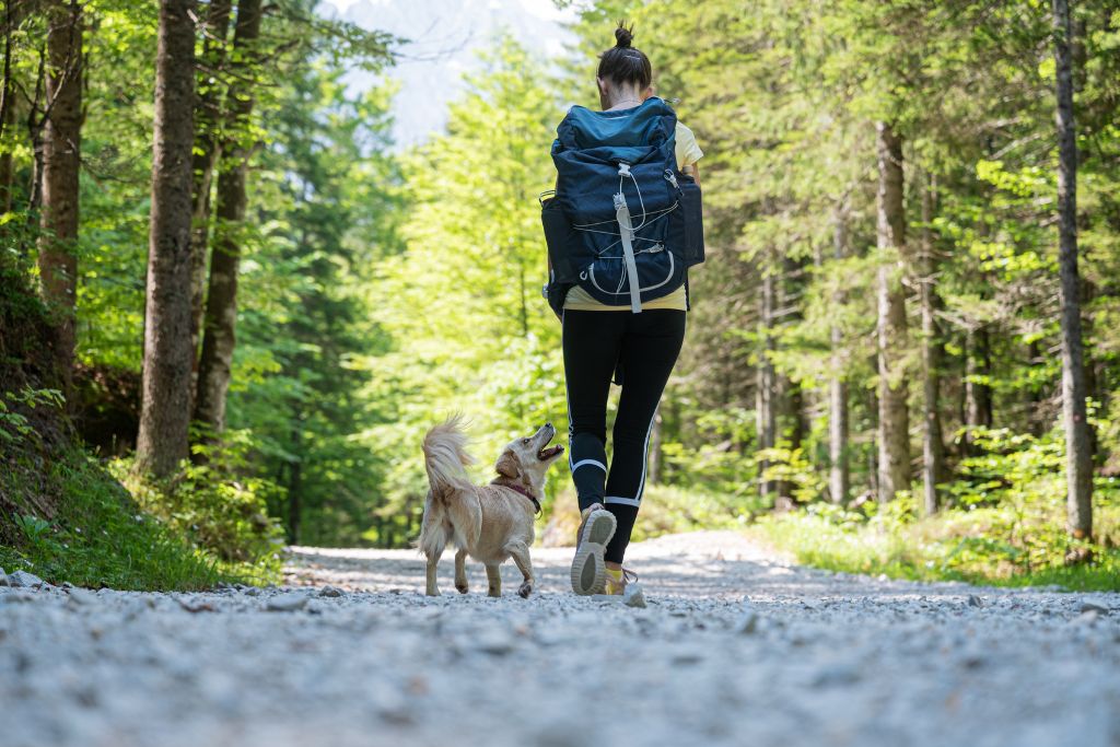 Woman hiking with her dog in nature