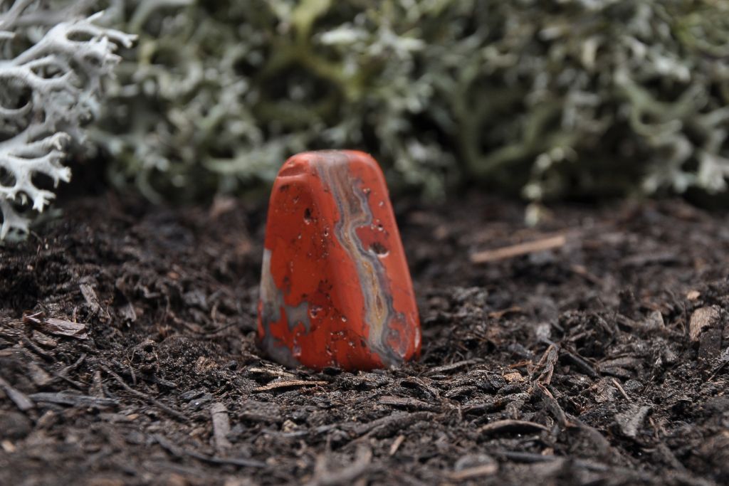 Red Jasper stone in the forest