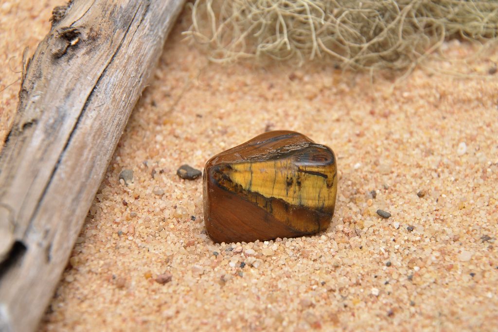 Tiger's Eye on the sand beside a dead tree stick.