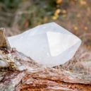 White quartz on a trunk of wood