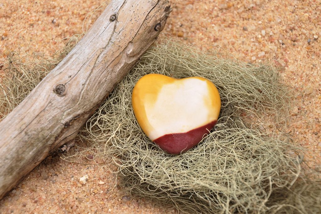 Yellow Jasper on the ground beside a dead tree branch