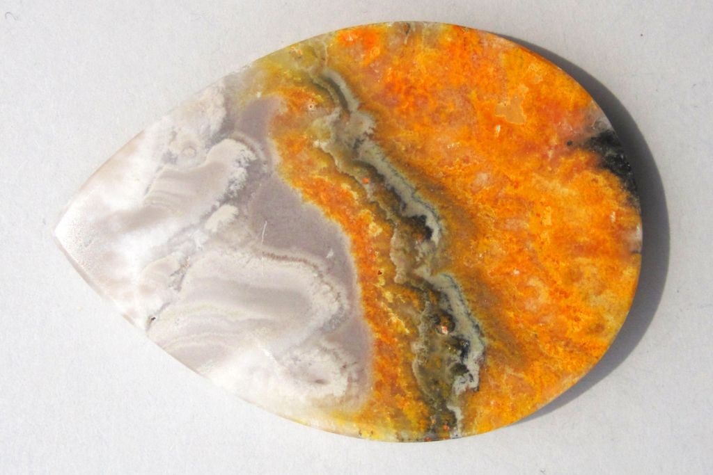 Bumblebee Jasper on a beige background. Source: Wikimedia | James St. John