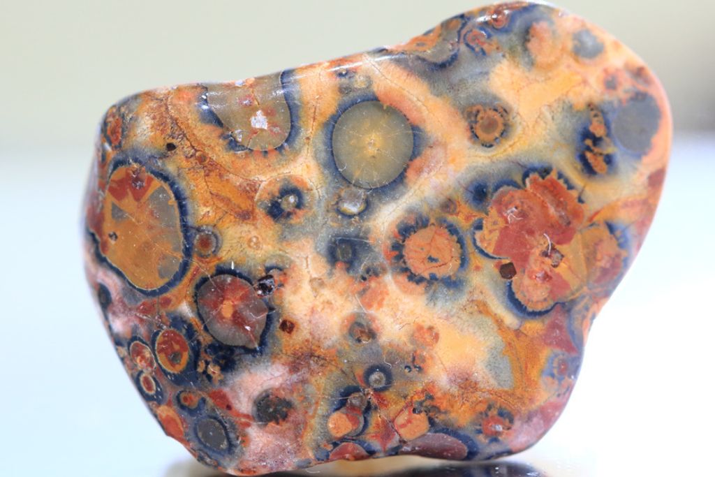 leopardskin Jasper stone. Image Source: flickr.com | Sue Corbisez