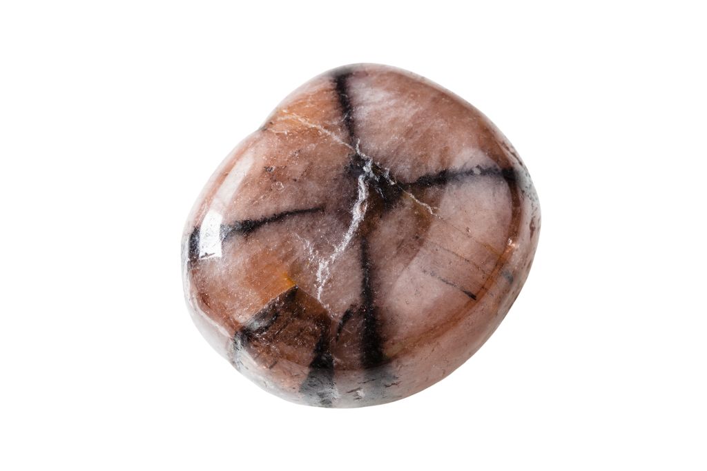 polished chiastolite on white background