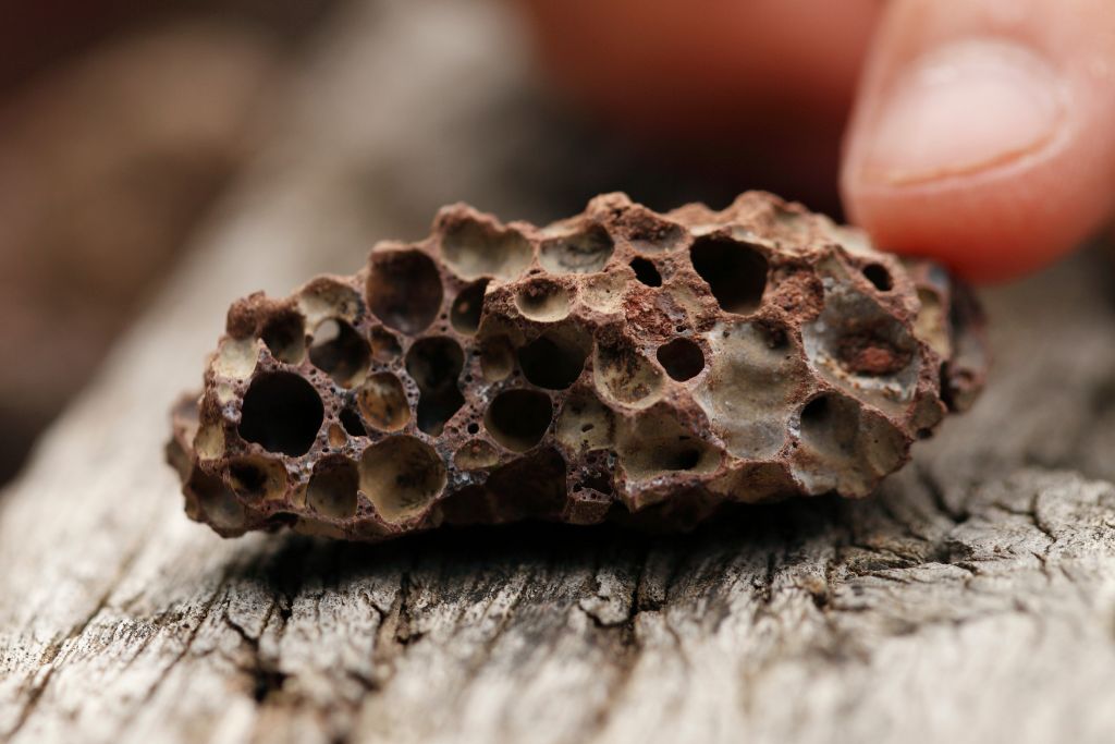 volcanic rock chunk placed on top of dried wood