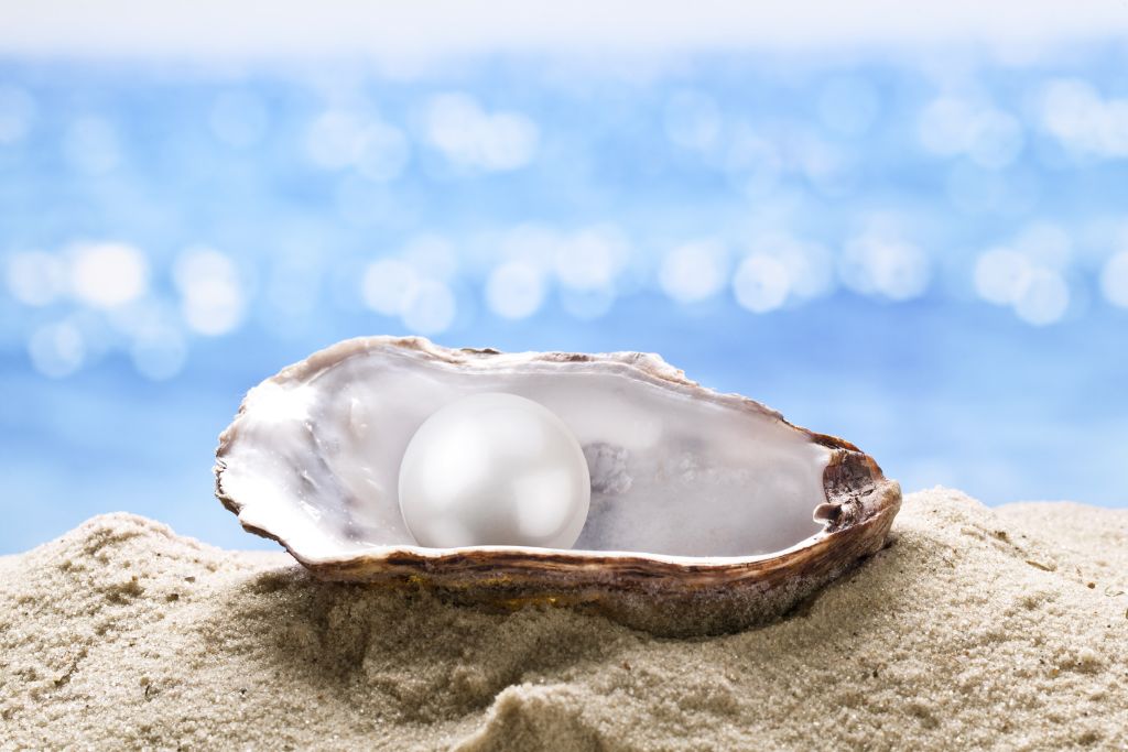 A pearl on a sea shell at the beach