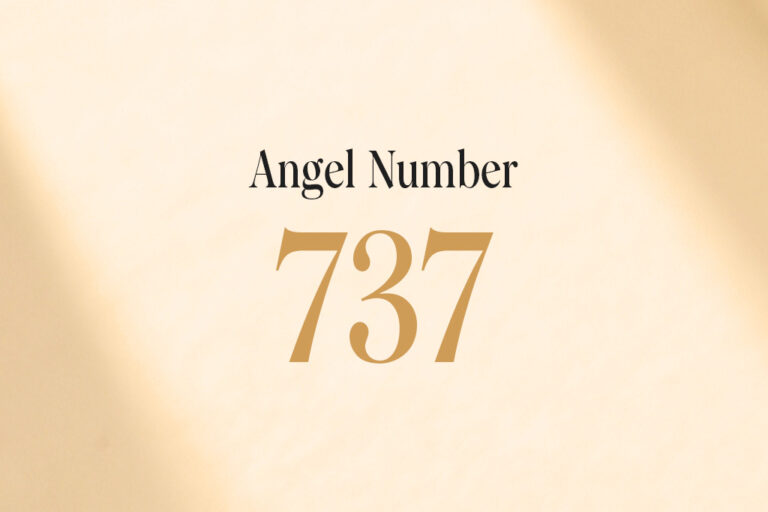 angel number 737 written on a beige background