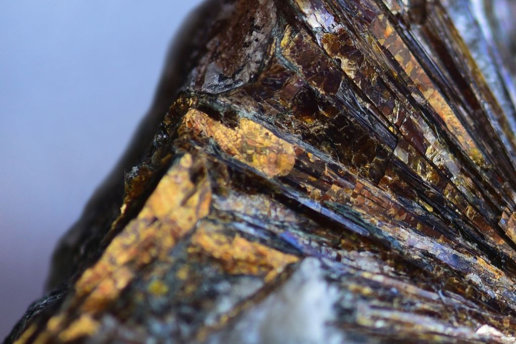 A close-up shot of an Astrophyllite crystal