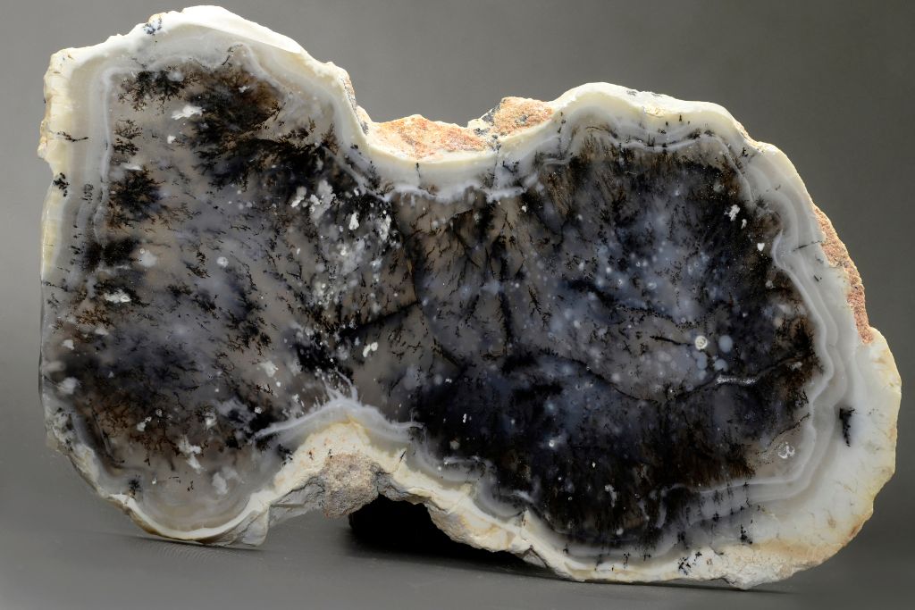 A cut of Dendritic Opal on a grayish background