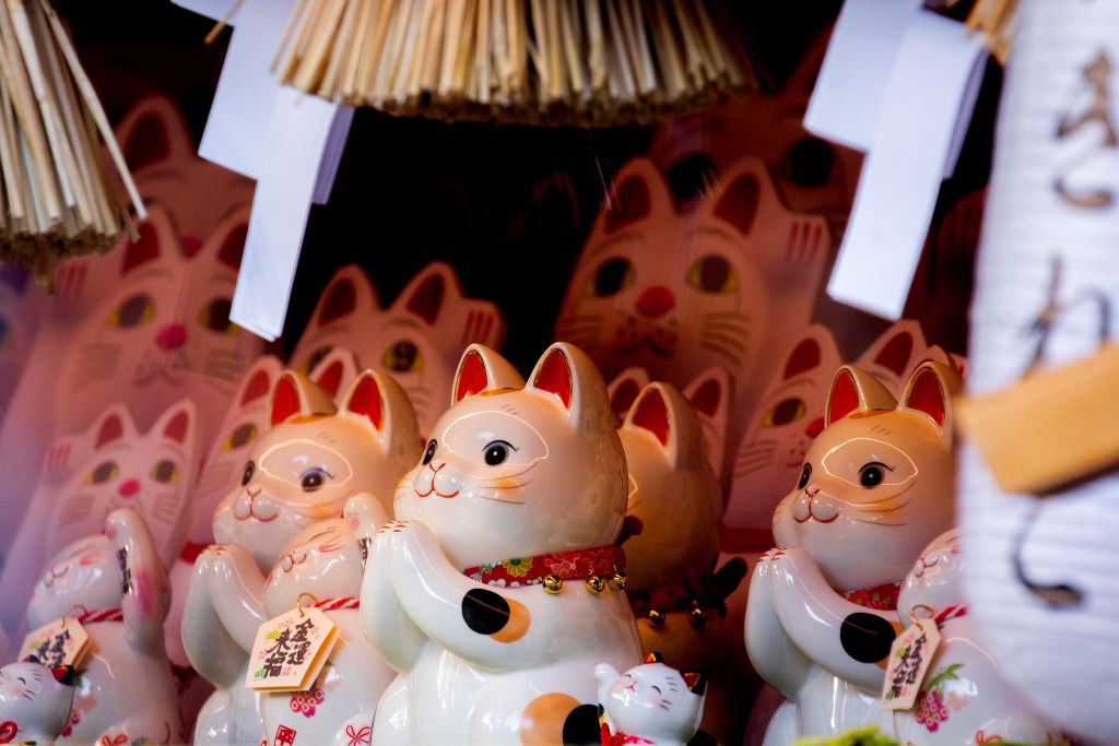 Different kinds of Lucky Cat figurines