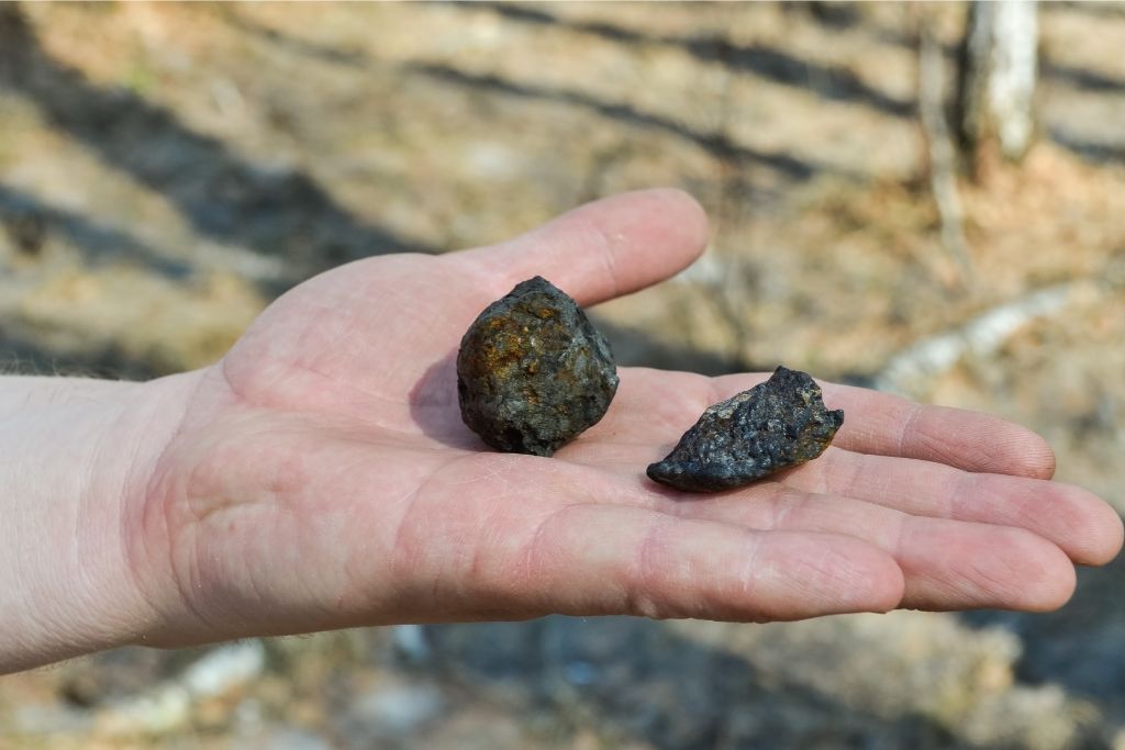 A person holding fragments of a meteorite