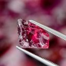 A rhodolite crystal on a tweezer