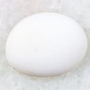 A white opal on a whitish background