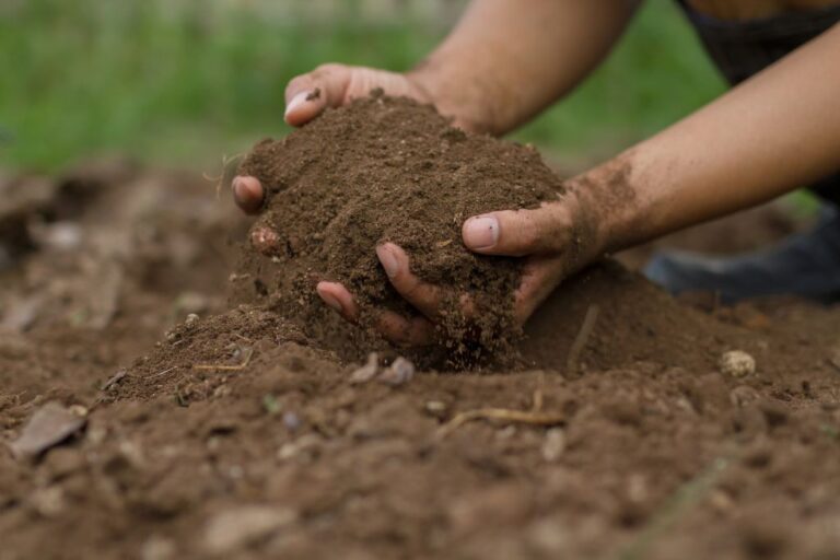 a hand holding a pile of soil