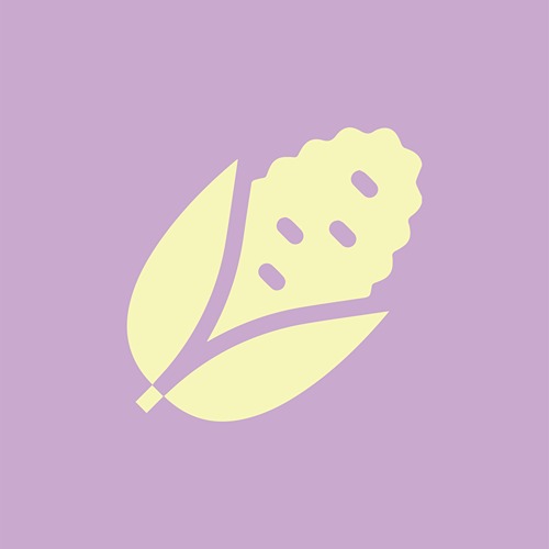 A custom graphic icon for Hunahpu