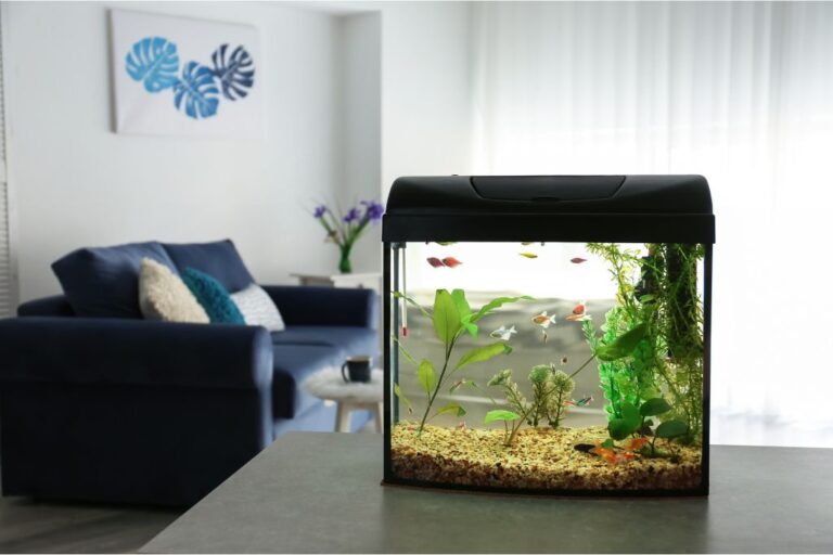 Fish tank with living area as a background
