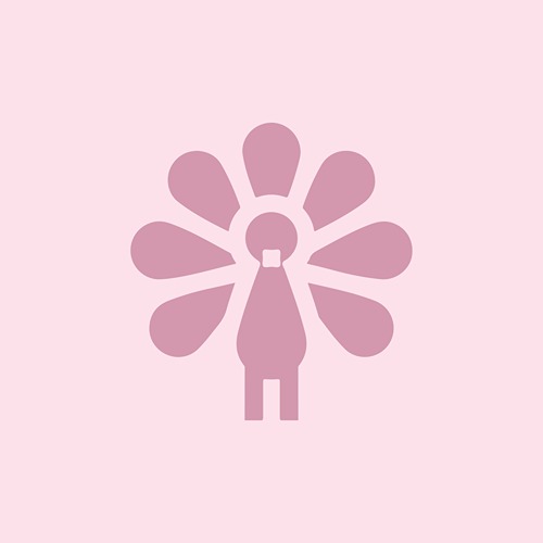 A custom graphic icon for Juno