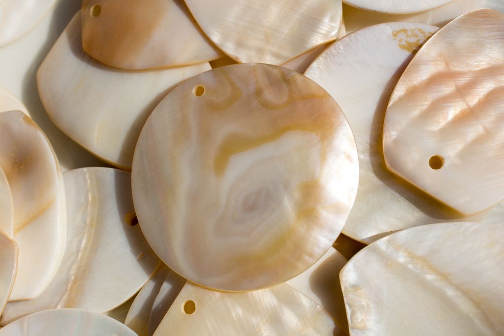 Sea Shells showing their Nacre