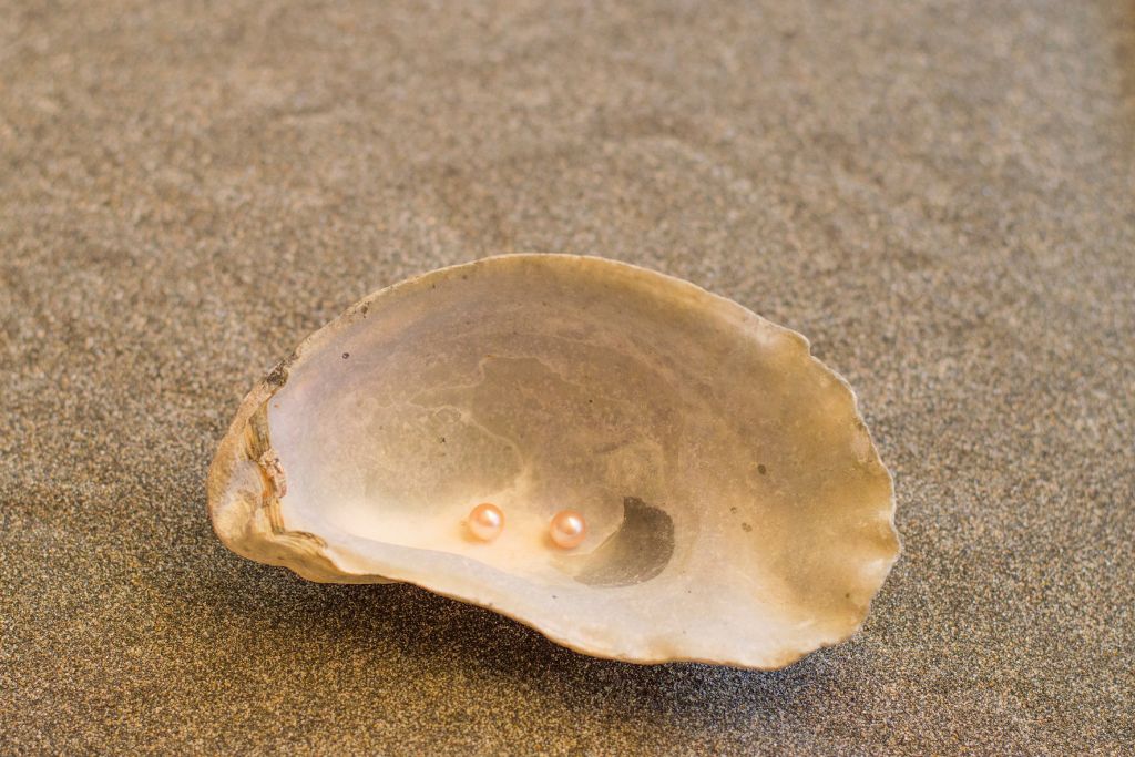 A pearl on a sea shell at the beach